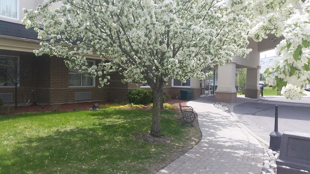 Days Inn By Wyndham Ottawa Airport Dış mekan fotoğraf
