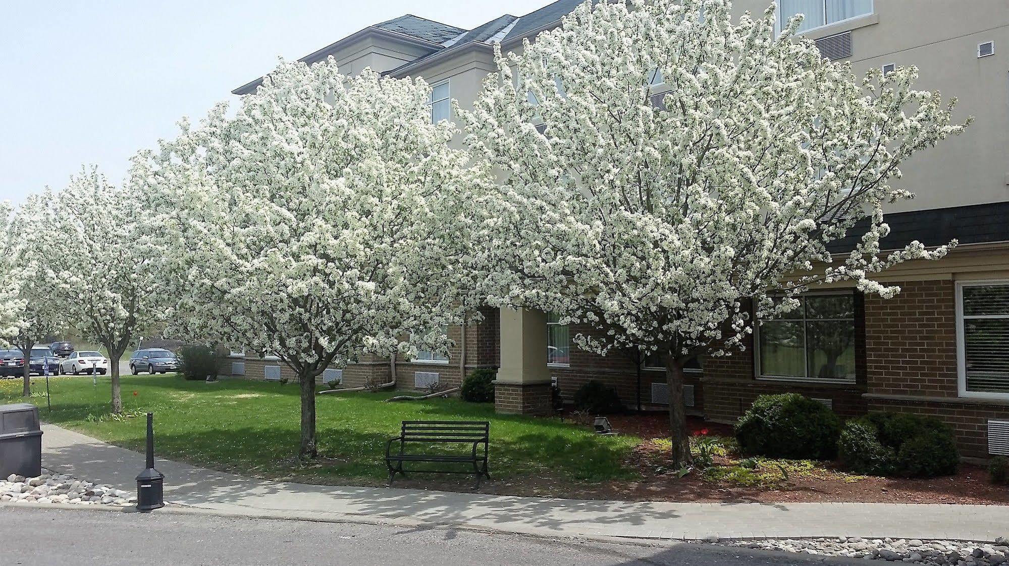 Days Inn By Wyndham Ottawa Airport Dış mekan fotoğraf